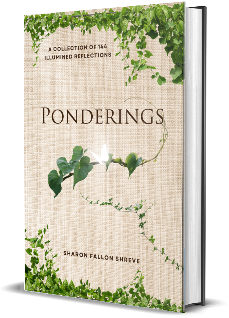 Ponderings_3D