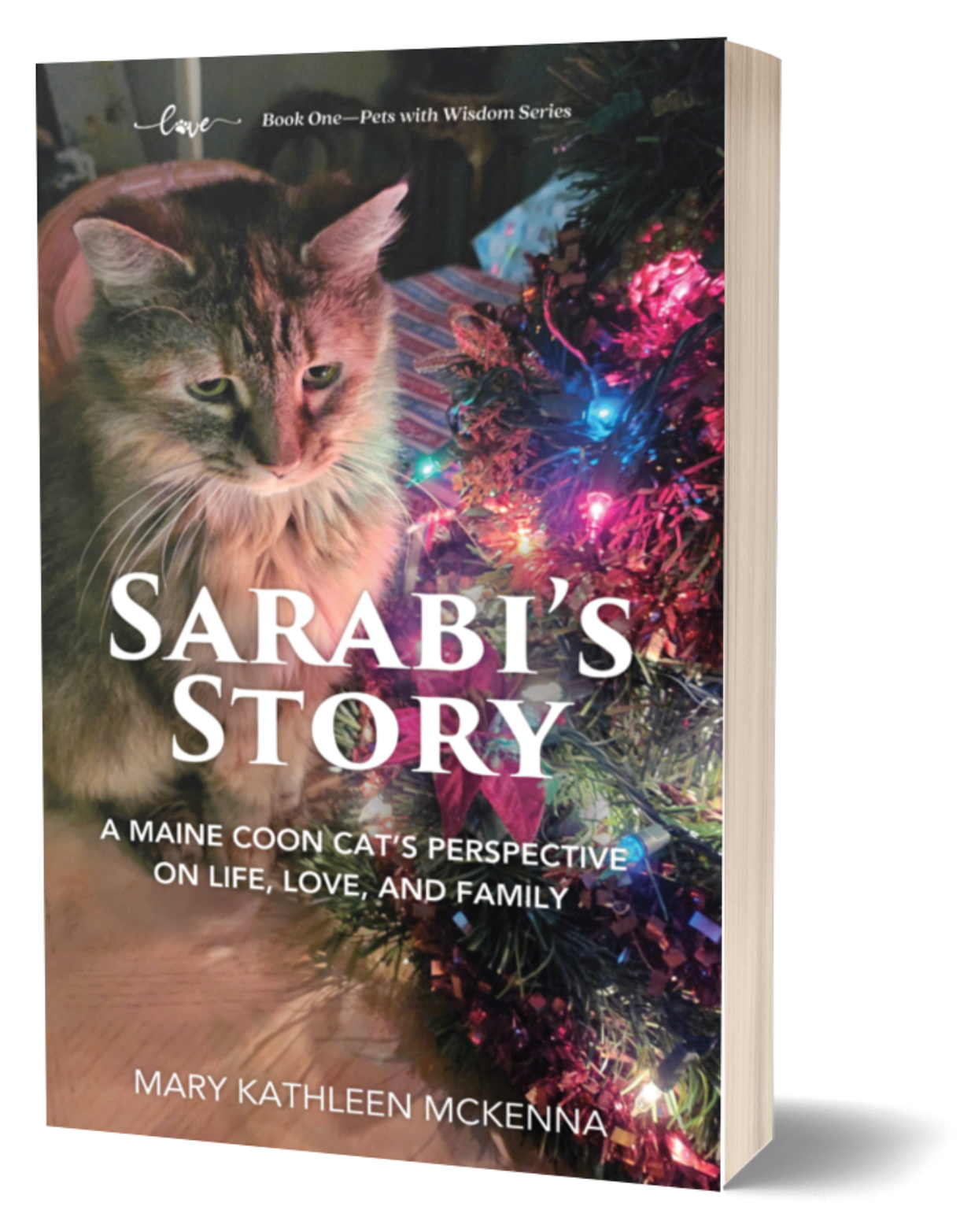 SarabisStory